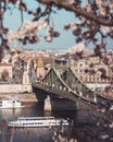 Scenic shot of the Liberty Bridge, Budapest, Hungary