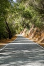 Scenic shot of narrow road along trees in the forest, Henry W. Coe State Park, San Francisco bay area, California