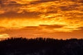 Scenic shot of the orange sky above the forest during sunset