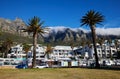 Scenic shot of palms, the Twelve Apostles mountain range, and houses in South Africa, Cape Town