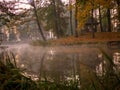 Scenic shot of a river flowing in a foggy autumn forest in Zarzecze, Subcarpatia, Poland Royalty Free Stock Photo