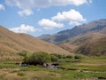 Scenic shot of several horses drinking water from a river stream surrounded by mountains Royalty Free Stock Photo