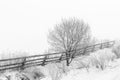 Scenic shot of thick fog and snow-covered trees and fences during winter Royalty Free Stock Photo