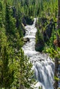 Scenic shot of a waterfall lined with trees in the Yellowstone national park Royalty Free Stock Photo