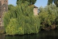 Scenic shot of willow and other trees on the bank of a river in an Old town of Nuremberg, Germany Royalty Free Stock Photo
