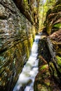 Scenic Silverthread falls of Dingmans ferry in spring