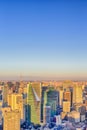 Scenic Skyline of Tokyo City in Japan with Tokyo Sky Tree Tower and Mountain Fujiyama in The Background