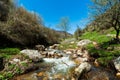 Scenic small river and natural landscape in spring