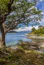 Scenic snow capped Chilean mountains seen from Tierra del Fuego National Park in Argentina Royalty Free Stock Photo
