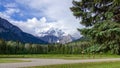 Scenic snow peak of Robson mountain and pine forest in the summer, Canadian Rocky mountains, British Columbia