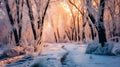 Scenic Snowy Forest Bathed in Sunlight - Generative AI Royalty Free Stock Photo