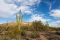 Scenic Sonoran Desert landscape in Arizona Royalty Free Stock Photo