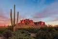 Desert landscape with a Saguaro Cactus at sunset in the Superstition Mountains, Arizona Royalty Free Stock Photo