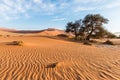 The scenic Sossusvlei and Deadvlei, clay and salt pan with braided Acacia trees surrounded by majestic sand dunes. Namib Naukluft Royalty Free Stock Photo