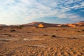The scenic Sossusvlei and Deadvlei, clay and salt pan with braided Acacia trees surrounded by majestic sand dunes. Namib Naukluft Royalty Free Stock Photo