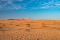 The scenic Sossusvlei and Deadvlei, clay and salt pan with braided Acacia trees surrounded by majestic sand dunes. Namib Naukluft Royalty Free Stock Photo