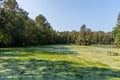 Scenic South Carolina vista at a historic plantation near Charleston