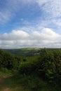 Scenic South England Coastline Seaside Beautiful View of the Sea No People