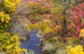 Scenic South Fork Ogden river in Utah