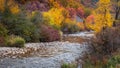 Scenic South Fork Ogden river in Utah