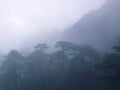 Scenic spots in Mount Huangshan, Anhui Province, China