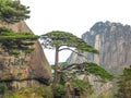 Scenic spots in Mount Huangshan, Anhui Province, China