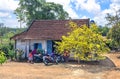 Scenic spring house morning with apricot trees bloom in front of