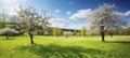 Scenic Spring Landscape with a Neatly Trimmed Lawn and Trees Against Blue Sky