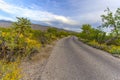 Scenic Springtime Desert Drive Through Saguaro National Park