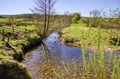 Scenic stream with bare tree and wooden fence