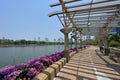 Scenic stretch along running track at Lake Ratchada in Benjakitti Park with buildings along Sukhumvit Road in background, Bangkok Royalty Free Stock Photo