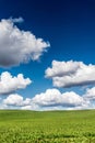 Scenic Summer Butted Field