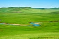 The scenic of the summer grassland of Hulunbuir Royalty Free Stock Photo