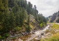 Scenic summer landscape in Sherwood Forest, Boulder Canyon Royalty Free Stock Photo