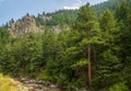 Scenic summer landscape in Sherwood Forest, Boulder Canyon Royalty Free Stock Photo