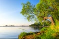 Scenic summer landscape with tree on lake shore