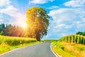 Rural winding road in sunset Royalty Free Stock Photo