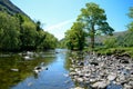 Scenic sunlit view along a calm river with a distinctive tree on one bank Royalty Free Stock Photo