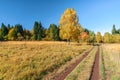 Scenic sunny countryside landscape of Caucasus golden autumn mountain forest with yellow leave birch tree on glade and rural lane Royalty Free Stock Photo