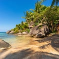 Scenic sunny idyllic sand beach with stones and palms shade on shore.