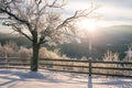 Scenic winter landscape with frozen trees in sunlight, mountains and sun, outdoor travel background Royalty Free Stock Photo