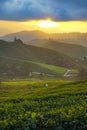 Scenic sunrise with green leaf on the hillside