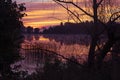 Scenic sunrise by the lake reflections in the water. Pastel colors of sky, mist above the water and dark silhouette of trees. Royalty Free Stock Photo