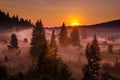 Scenic sunrise seen on top of Tara mountain, Serbia Royalty Free Stock Photo