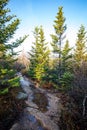 Scenic sunrise at the top of Cadillac mountain Acadia National park Royalty Free Stock Photo