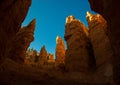 scenic sunset at Bryce canyon with hoodos in early morning Royalty Free Stock Photo