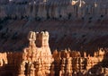scenic sunset at Bryce canyon with hoodos in early morning Royalty Free Stock Photo
