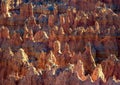 scenic sunset at Bryce canyon with hoodos in early morning Royalty Free Stock Photo