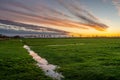 scenic sunset in the district Wesermarsch Royalty Free Stock Photo