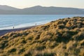 Scenic sunset in the dunes at Rossbeigh beach, Ireland. Walking in the sunset